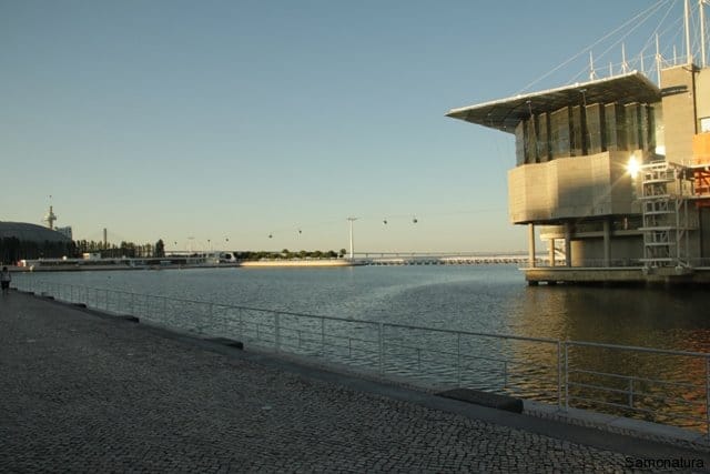 IMG_6423